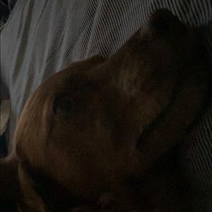 Meet your Posher, Jeff